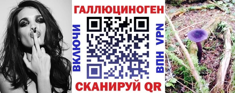 даркнет Telegram  блэк спрут рабочий сайт  Хадыженск  Псилоцибиновые грибы Psilocybine cubensis 
